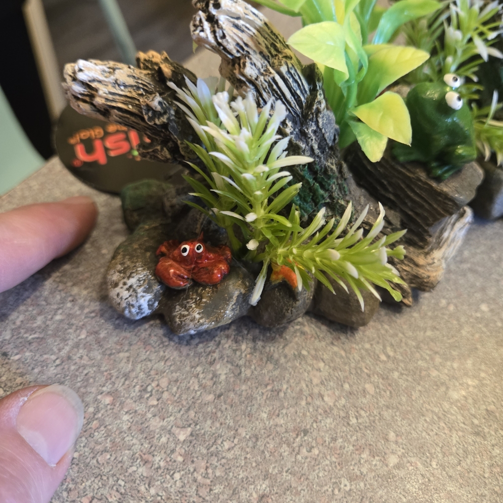 Aquarium Decoration with Red Crab and Green Plants